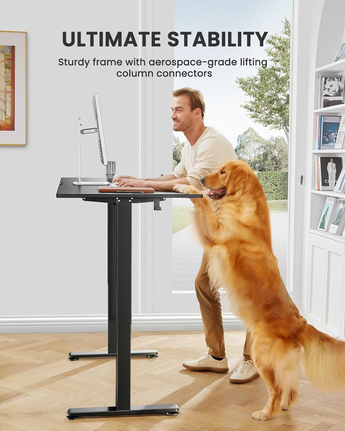 Height Adjustable Electric Standing Desk, 48 X 24 Inches Sit Stand up Desk, Memory Computer Home Office Desk (Black) - Digital Haven